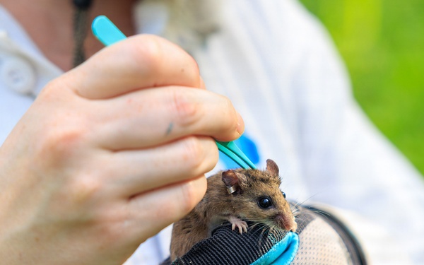 Understanding emerging tick-borne risks at Aberdeen Proving Ground