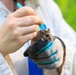 Understanding emerging tick-borne risks at Aberdeen Proving Ground