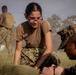 Mass Casualty Exercise