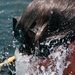 10th Special Forces Group (Airborne) Dive Training