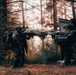 1st Special Forces Group (Airborne) conducts small unit tactics validation training during Tahoma Strike