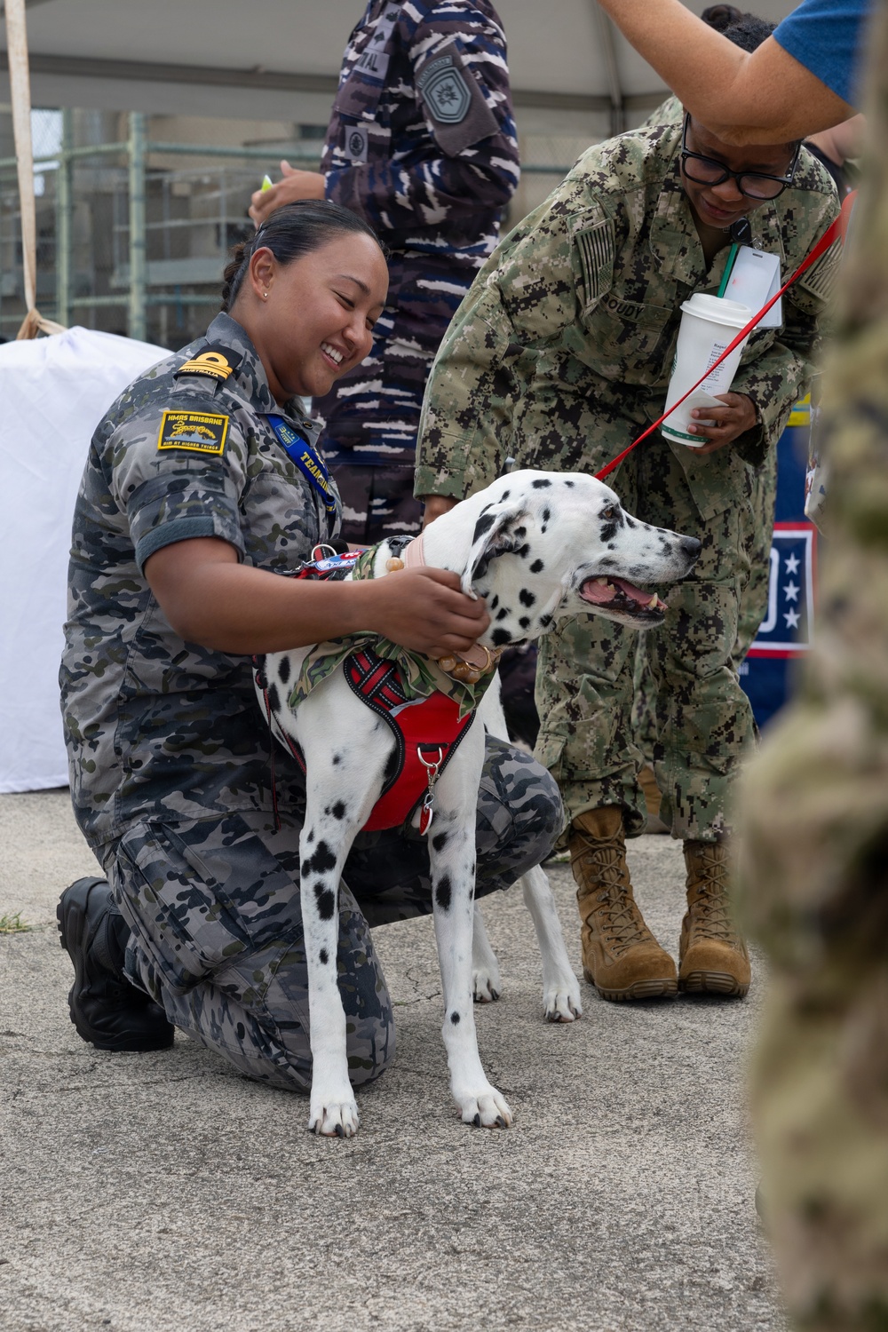 Therapy dogs boost morale at Pacific Warfighting Center during RIMPAC 2026