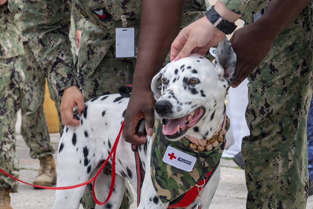 Therapy dogs boost morale at Pacific Warfighting Center during RIMPAC 2026