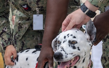 Therapy dogs boost morale at Pacific Warfighting Center during RIMPAC 2026