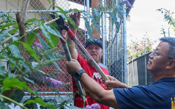 Two men are working together to prune or trim a tree or large shrub in an enclosed outdoor garden area surrounded by chain-link fencing. The man in the foreground is wearing a navy blue 'American Navy - Forged by the Sea' t-shirt and using long-handled loppers or pruning shears. A third person, partially visible in the background, appears to be observing the activity.