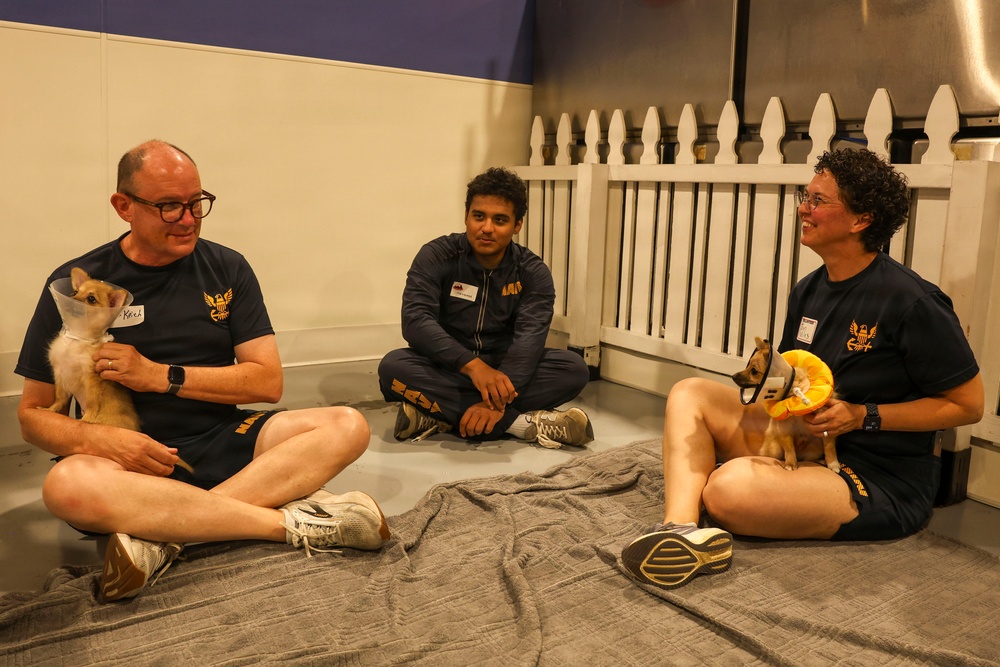U.S. Navy Sailors volunteer at Emerald City Pet Rescue
