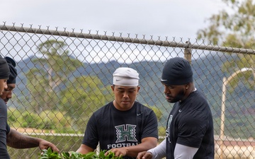Tropic Lightning, Rainbow Warriors Forge Teamwork on Schofield Barracks