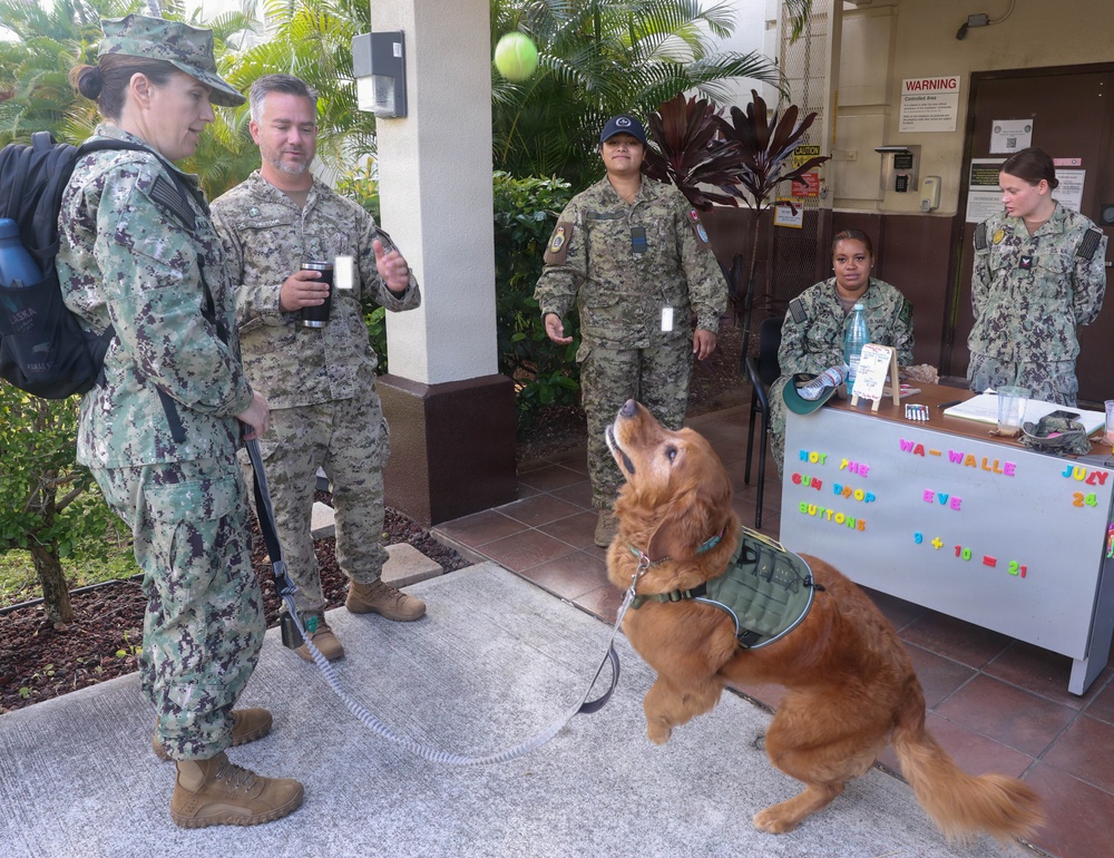 Therapy dog boosts morale at Hickam Air Force Base during RIMPAC 2026