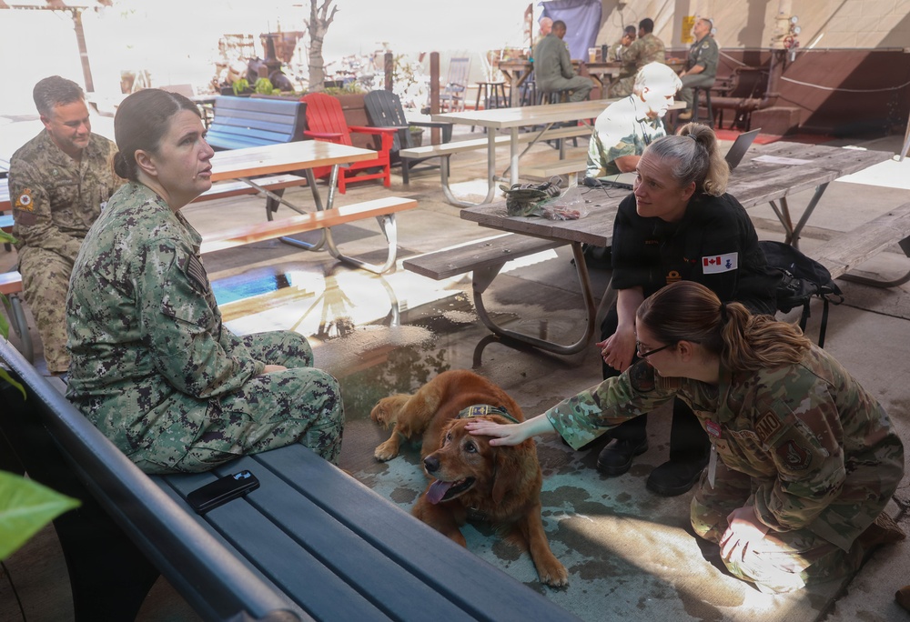 Therapy dog boosts morale at Hickam Air Force Base during RIMPAC 2026