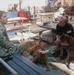 Therapy dog boosts morale at Hickam Air Force Base during RIMPAC 2026
