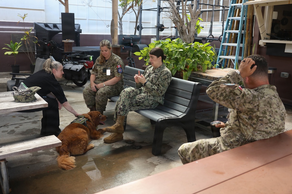 Therapy dog boosts morale at Hickam Air Force Base during RIMPAC 2026