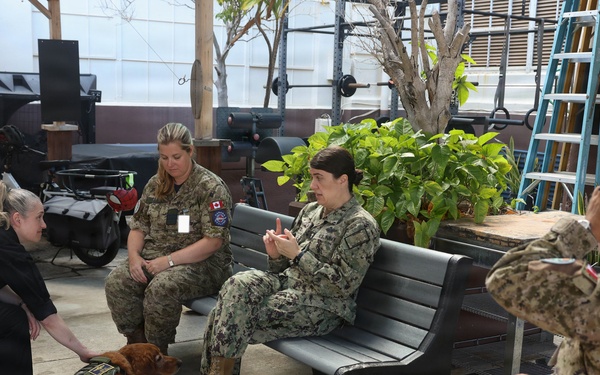 Therapy dog boosts morale at Hickam Air Force Base during RIMPAC 2026