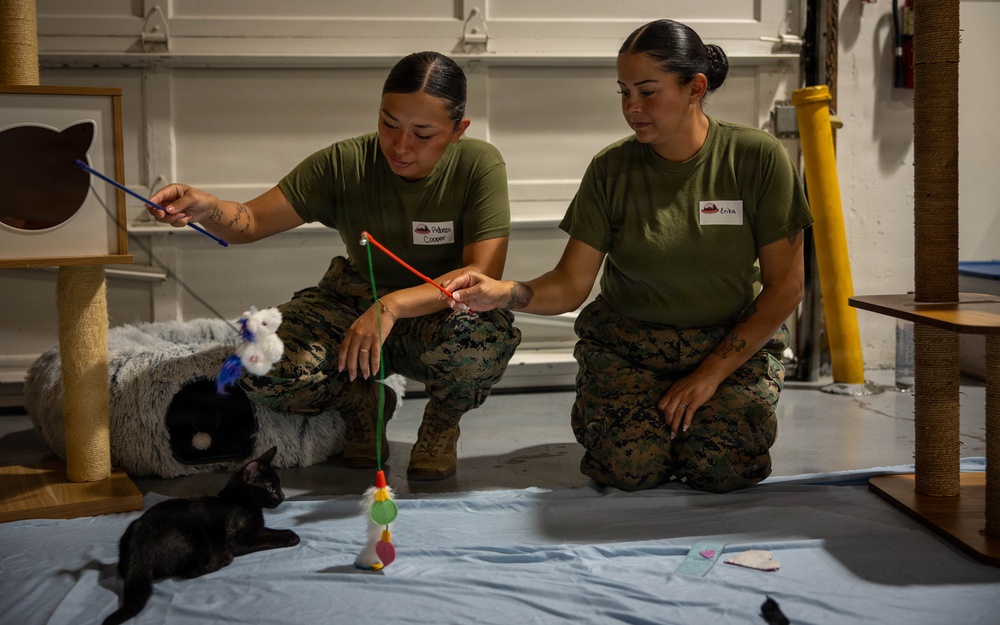 Seattle Fleet Week 26: Day 2