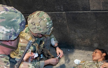 1065th Medical Company (Area Support) Conducts Integrated Medical Training Lane