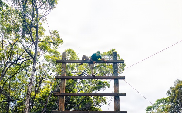 Tropic Lightning, Rainbow Warriors Forge Teamwork on Schofield Barracks