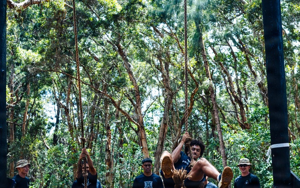 Tropic Lightning, Rainbow Warriors Forge Teamwork on Schofield Barracks