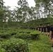 From Sweat to Tea: U.S. and Bangladeshi Forces Build Connections in the Field