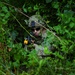 Indiana Guardsmen Sharpen Warfighter Readiness at Combat Readiness Exercise 2026
