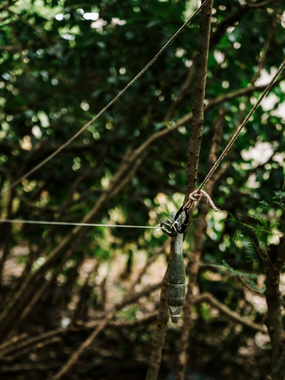 The image shows a fishing or rigging setup suspended from a tree branch in a wooded outdoor environment. A cylindrical green object, likely a fishing float or bobber, hangs from a cord tied to a branch, with a thin line (possibly fishing line) extending horizontally. The background consists of dense green foliage with bokeh effect, suggesting a shallow depth of field.
