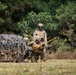 RIMPAC 2026: 25th CAB, 15th MEU conduct sling load training