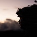 VMM-164 (Rein.) conducts nighttime close air support exercise