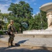 U.S. National Guardsmen Assigned to JTF-DC Presence Patrol