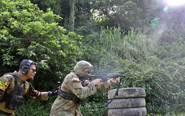 Exercise Tiger Lightning Builds Tactical Interoperability in the Indo-Pacific