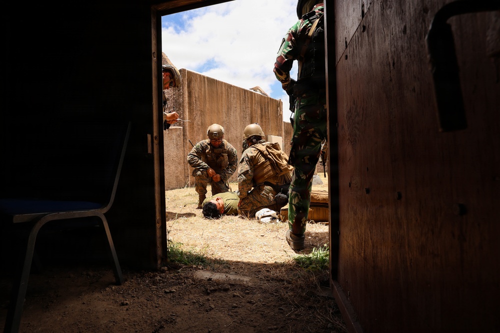 U.S. Marines, partner nations conduct mass casualty training during RIMPAC