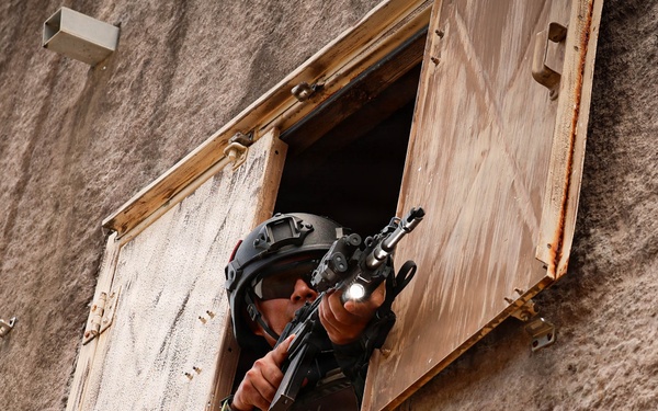 U.S., partner nations conduct full mission profile exercise during RIMPAC