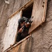 U.S., partner nations conduct full mission profile exercise during RIMPAC