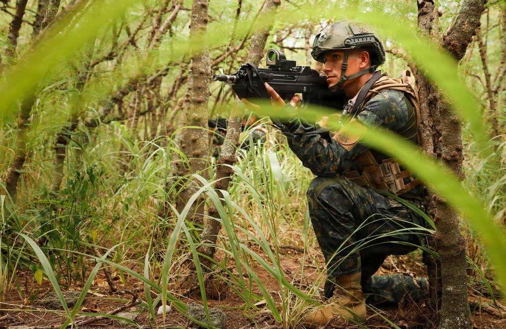 U.S., partner nations conduct full mission profile exercise during RIMPAC