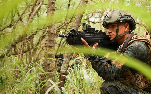 U.S., partner nations conduct full mission profile exercise during RIMPAC