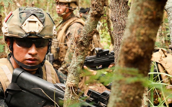 U.S., partner nations conduct full mission profile exercise during RIMPAC