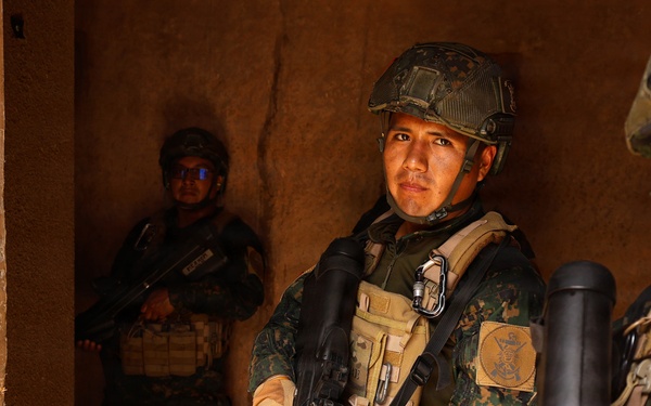 U.S., partner nations conduct full mission profile exercise during RIMPAC
