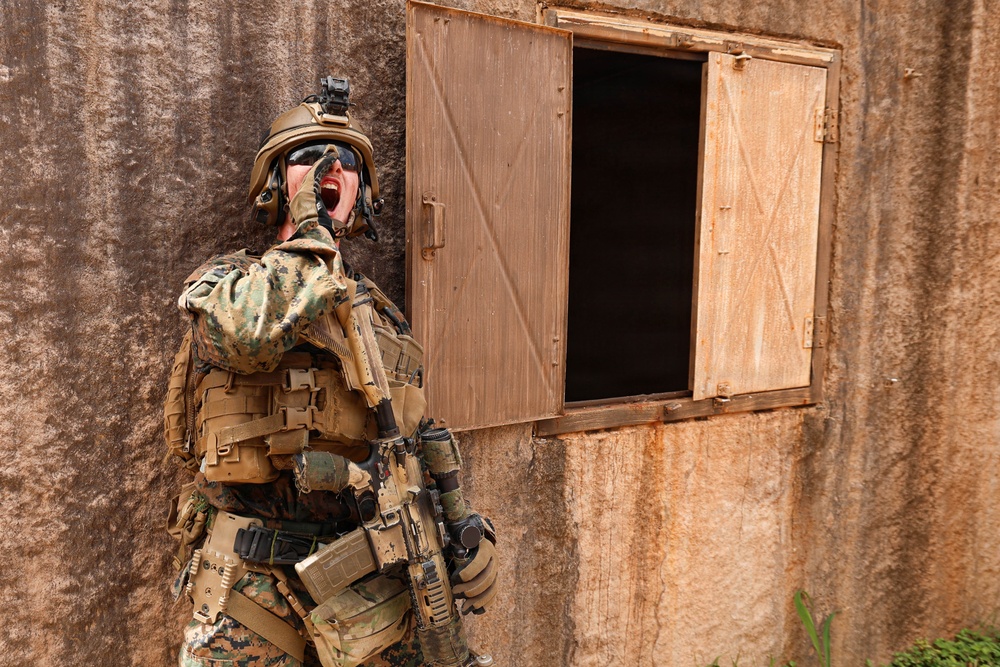 U.S., partner nations conduct full mission profile exercise during RIMPAC