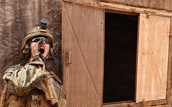 U.S., partner nations conduct full mission profile exercise during RIMPAC
