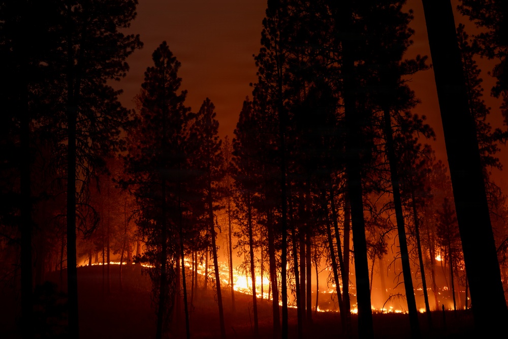 Brewer Fire