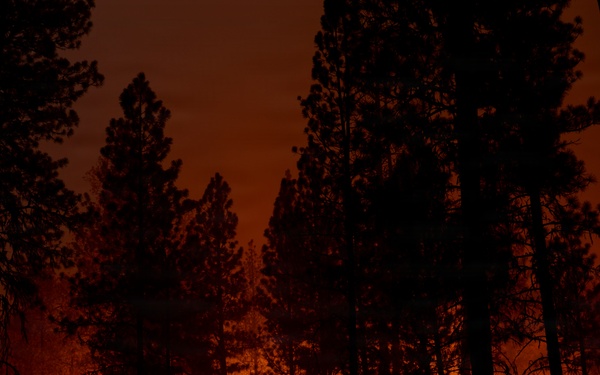 Brewer Fire