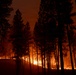 Brewer Fire