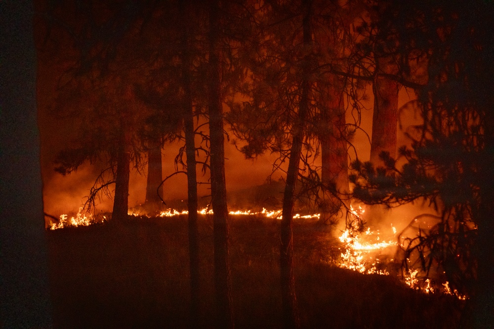 Brewer Fire