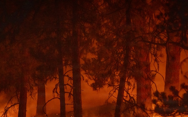 Brewer Fire