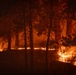 Brewer Fire