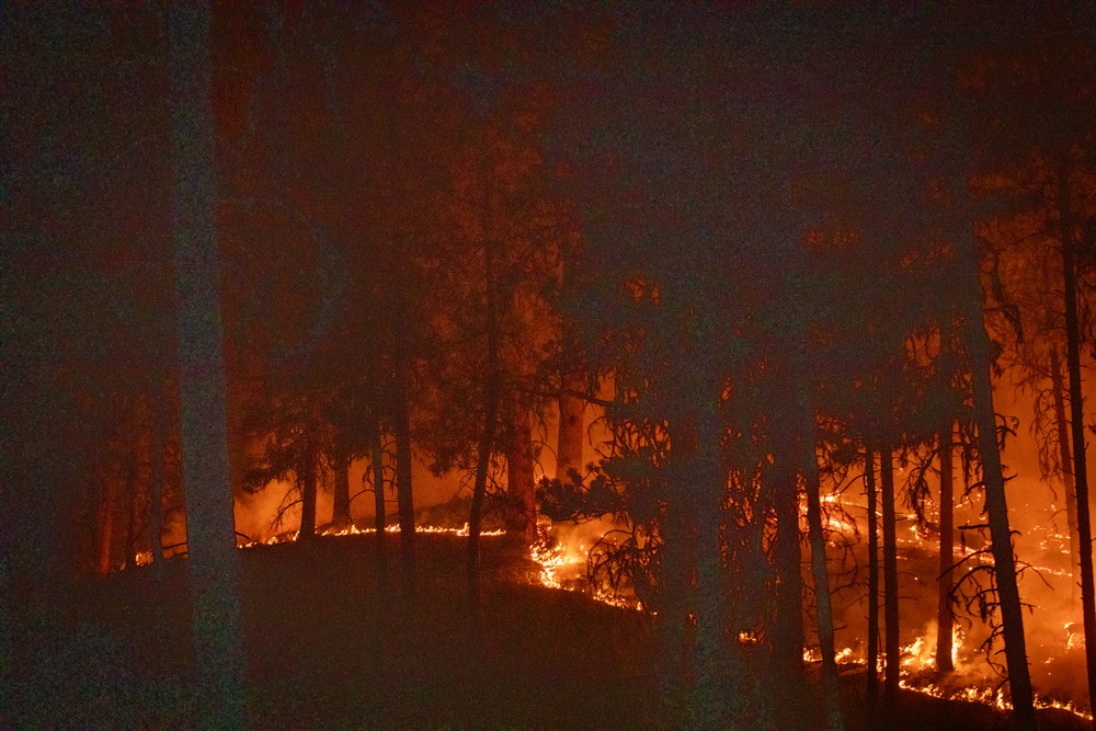 Brewer Fire