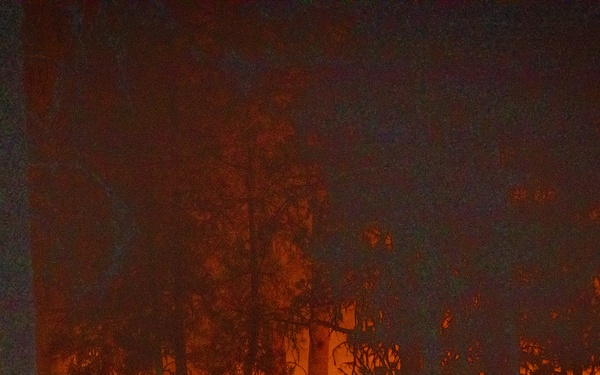 Brewer Fire