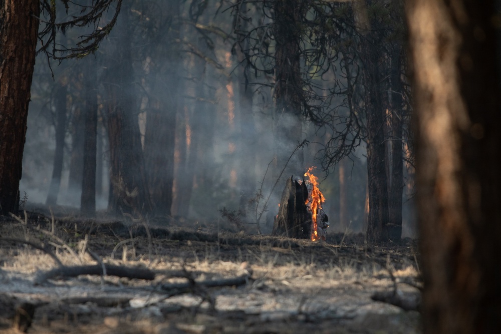 Brewer Fire