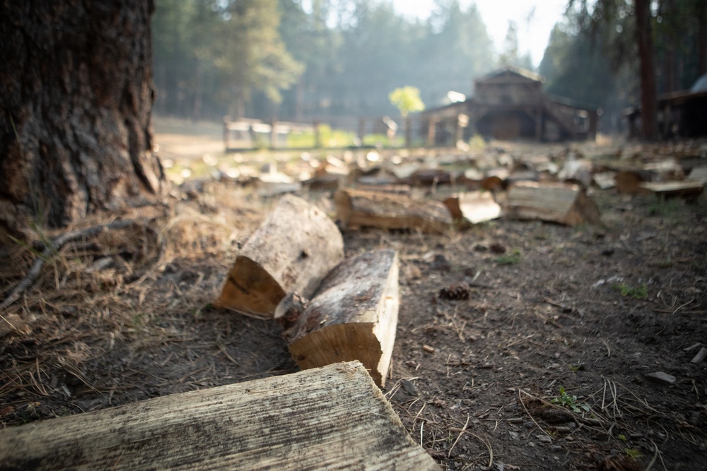 Brewer Fire Structure Protection