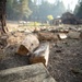 Brewer Fire Structure Protection