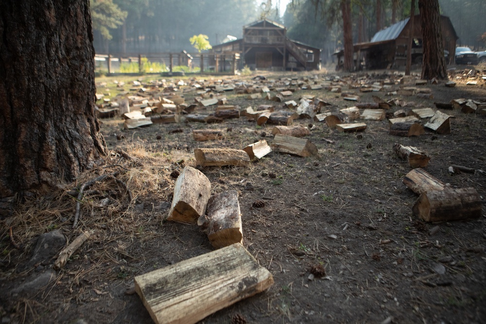 Brewer Fire Structure Protection
