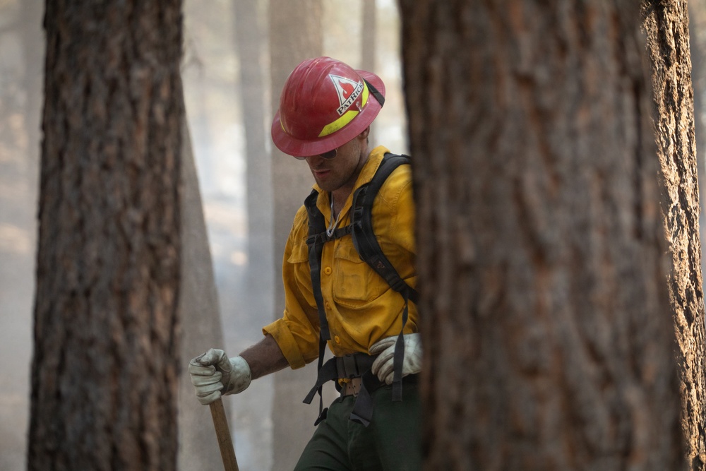 Brewer Fire Operations