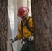 Brewer Fire Operations